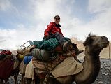 23 Jerome Ryan Riding A Camel To Cross The Shaksgam River Trekking Between Kulquin Bulak Camp In Shaksgam Valley And Gasherbrum North Base Camp In China 